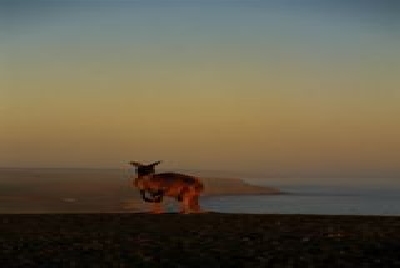 Fleurieau im Abendlicht-SA Fleu Kangaroo Dawn.jpg